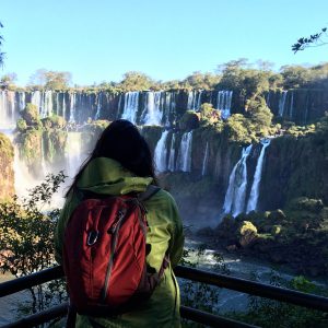 Taking in the majesty of the Iguazu Falls
