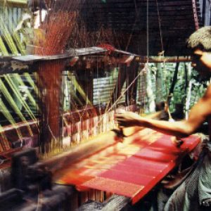Best of Bangladesh sari weaver